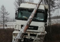 Не справившийся с управлением «КамАЗом» 53-летний водитель 2 ноября получил травмы