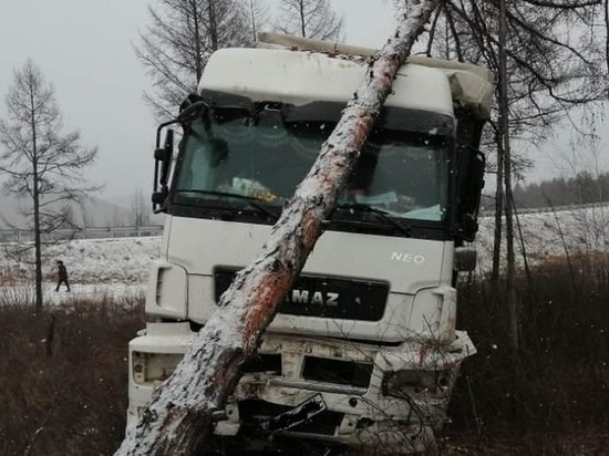 Водитель врезавшегося в дерево «КамАЗа» пострадал в Забайкалье