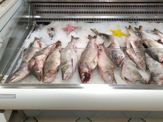 В Хабаровске поступит в продажу более 80 тонн горбуши и осенней кеты по проекту «Доступная рыба»