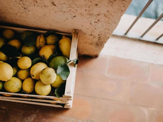 Роспотребнадзор запретил ввозить в Россию лимоны турецкого производителя