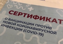 Срок действия сертификатов о вакцинации в России могут сократить с одного года до шести месяцев