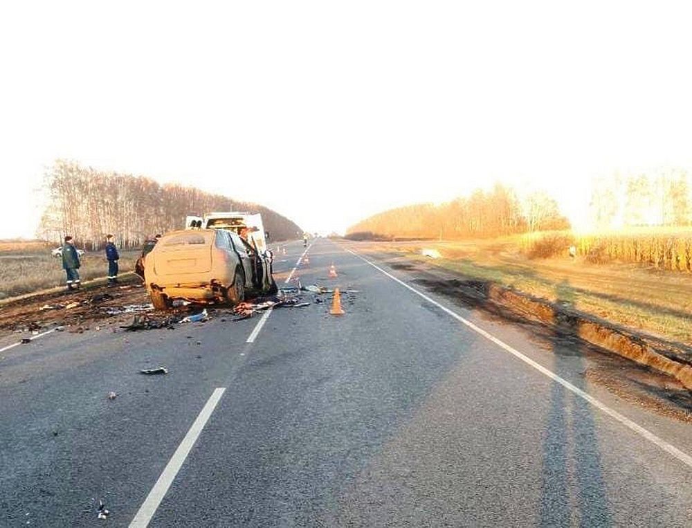 В аварии под Воронежем погибли сразу три человека