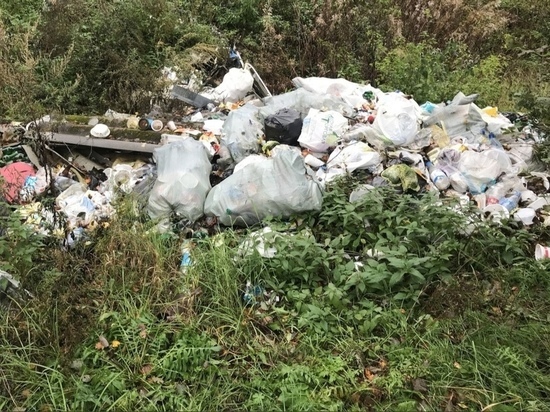 Гору мусора убрали в новгородской деревне после жалобы общественников