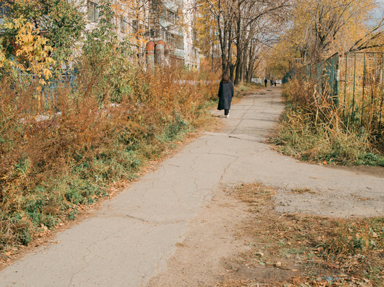 Озвучен прогноз погоды на 4 ноября в Хабаровске