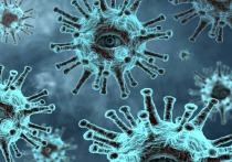 В Забайкальском крае за последние сутки подтверждены 373 случая заражения коронавирусом