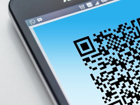 В Ижевске курьер с QR-кодом решил заработать во время локдауна