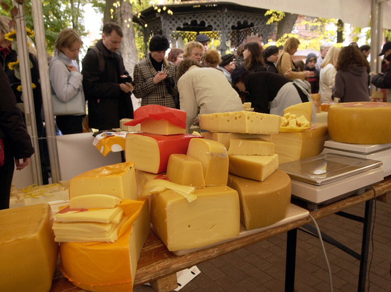 Почему не стоит покупать дешевый сыр