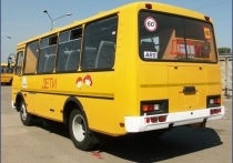 Для девяти читинских школ закуплены 11 новых автобусов марки «ПАЗ», которые будут подвозить детей