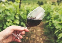 По оценкам Международной организации по виноградарству и виноделию, объем мирового производства вина в нынешнем году составит 247,1–253,5 млн гектолитров, что почти равняется рекордно низкому значению 2017 года