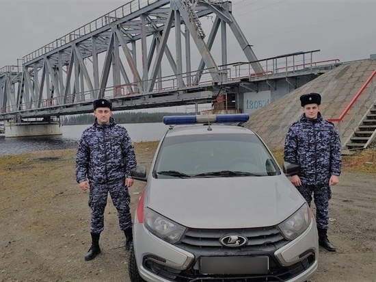 Житель Карелии спрыгнул в реку с железнодорожного моста, его спасли