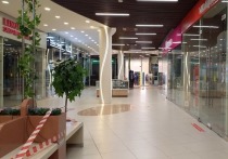 В Совфеде выступили за продление режима нерабочих дней еще на одну неделю