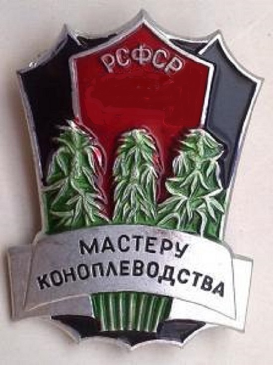 В Ярославле задержали коноплевода