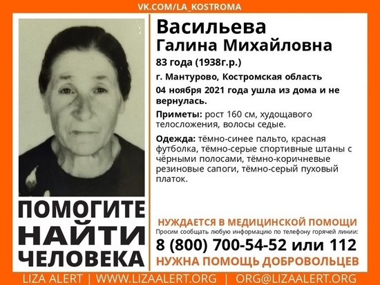 Костромские поисковики из отряда «ЛизаАлерт» разыскивают 83-летнюю жительницу Мантурово