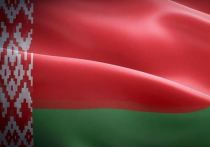 Польские власти попытались вытеснить группу нелегальных мигрантов на территорию соседней Белоруссии