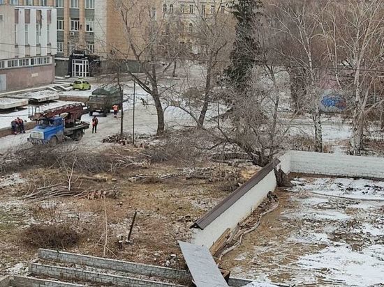 В центре Омска на месте будущего благоустройства срубили здоровые деревья