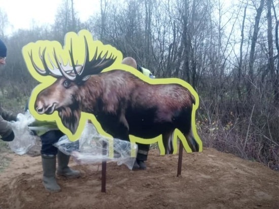 В Ярославской области у дороги поставлен светящийся лось