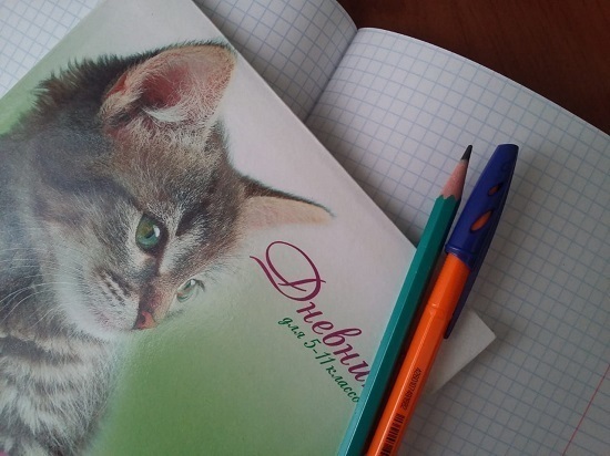 Школьники Ингушетии с 8 ноября продолжат учебу в очном режиме