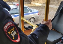 В октябре в Красноярске произошло 9 дорожно-транспортных происшествий по вине водителей маршрутных транспортных средств. В авариях за прошлый месяц пострадали 12 жителей краевого центра.