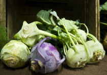 Почему овощи в погребе гниют? Причиной всему повышенная сырость в помещении