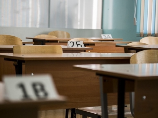 В школах Железногорска, Зеленогорска и Сосновоборска занятия продолжатся в дистанционном формате