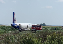 Пассажирский лайнер A321, летом 2019 года совершивший аварийную посадку на поле после вылета из подмосковного аэропорта Жуковский, до сих пор не удалось утилизировать