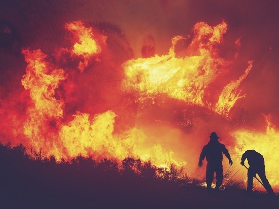 Природный пожар зафиксировали в районе Гонготы в Читинском районе