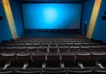Музеи, кинотеатры, концертные и театральные залы, а также библиотеки смогут с 8 по 14 ноября смогут посещать совершеннолетние забайкальцы при наличии QR-кода