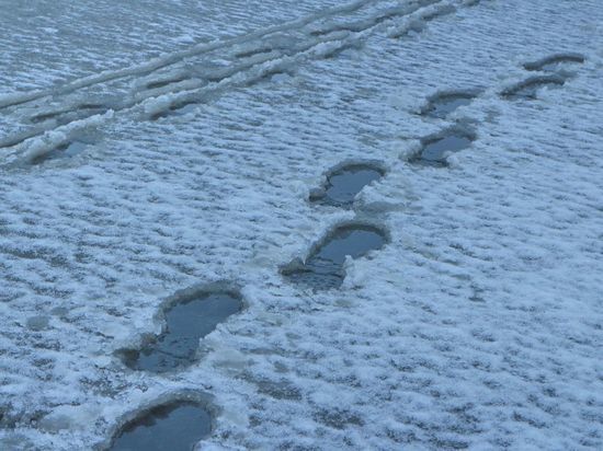 Мокрый снег ожидается в Новгородской области 8 ноября