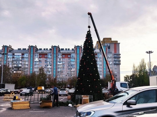 В Воронеже на улице Шишкова установили первую елку
