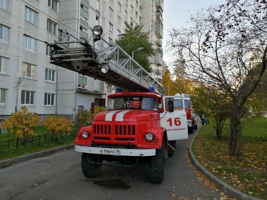 Пенсионерка пострадала в пожаре на Заставской улице