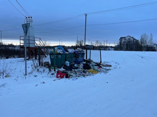 Нужно проявить терпение: Титовский разъяснил ситуацию с переполненными мусорными баками в Салехарде