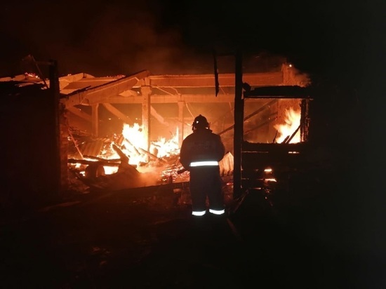 Пожар в алтайском селе уничтожил несколько тонн пшеницы и подсолнечника