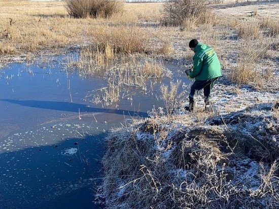 Губернатор назвал виновника загрязнения воды в реках Санарка и Уй в Троицком районе