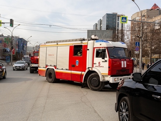 В Новосибирске пожарные спасли из горящего десятиэтажного дома 15 человек