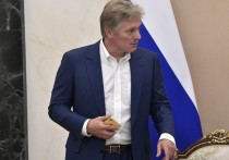 Пресс-секретарь Кремля Дмитрий Песков заявил, что российские власти не видят межнациональной подоплеки в массовых драках, произошедших за последнее время в столичном регионе — в частности в Домодедове