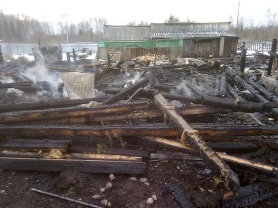 В Тайшетском районе на пожаре погибло два человека