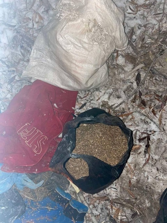 Полицейские в Кызылском районе изъяли более килограмма марихуаны