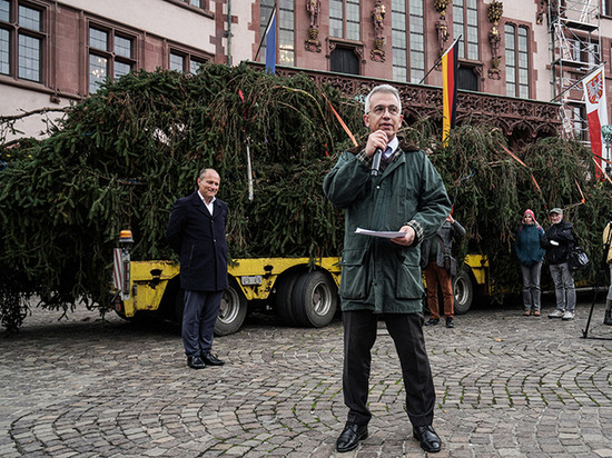 Германия: Новогодняя ёлка, украшающая главную площадь Франкфурта, станет тренажером для скалолазов