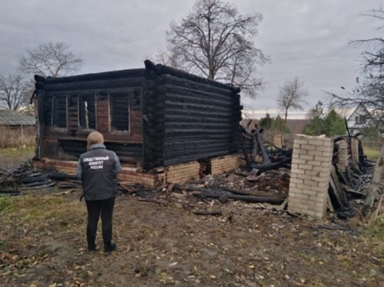 Костромские трагедии: в деревне Бабаево Нерехтского района при пожаре погиб молодой мужчина