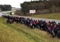 Погранохрана Польши сообщила о попытках силового прорыва границы со стороны группы мигрантов