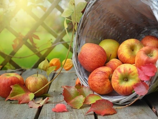 В Татарстане стали дешевле яблоки и лук