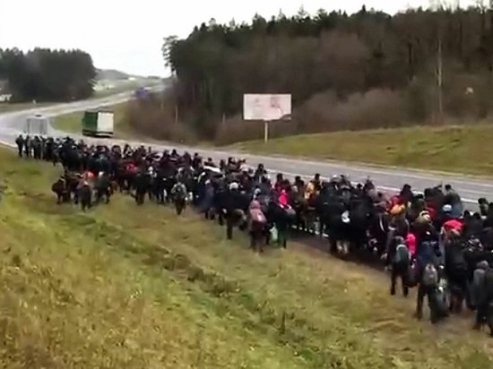 Мигранты, идущие к польско-белорусской границе, направляются в Германию