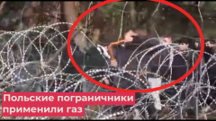 На польско-белорусской границе произошла стрельба: очевидцы сняли видео