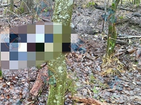 У Синявинских высот 10 дней искали пропавшего мужчину и нашли его труп
