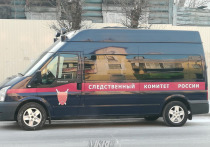 В Забайкалье началась доследственная проверка по факту опубликованной в СМИ информации о ранении школьницы в Краснокаменске