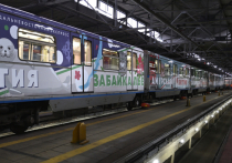 В московском метрополитене на Арбатско-Покровской линии запустили бронированный «Дальневосточный экспресс», один из вагонов которого украсило изображение забайкальского кота манула