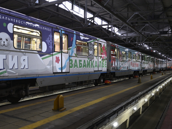Поезд с забайкальским манулом появился в московском метро