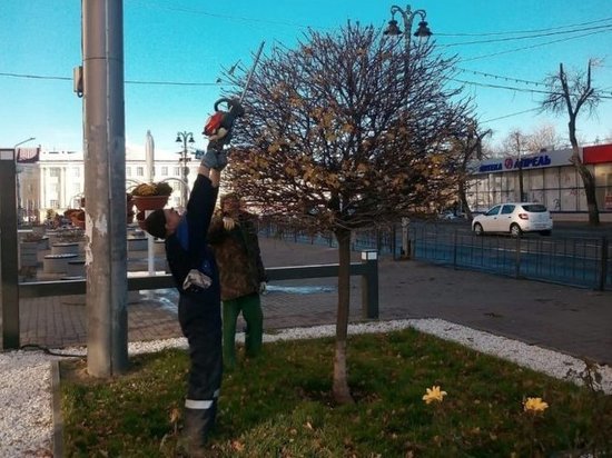 В Курске приступили к санитарной и формировочной обрезке деревьев