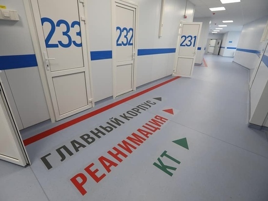 На Южном Урале за сутки умерли 29 пациентов с коронавирусом