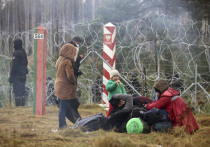 Несколько групп мигрантов в ночь на 10 ноября пересекли границу между Польшей и Белоруссией